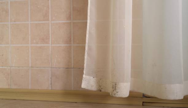 Mold Documentation for Insurance Claims in Jenkintown, PA