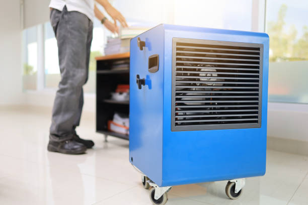 Best Industrial Mold Remediation  in Jenkintown, PA