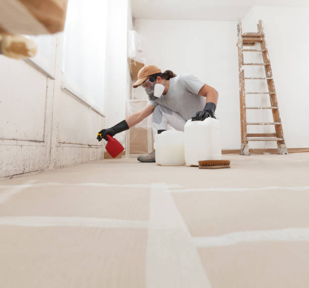Best Air Quality Testing for Mold Spores  in Jenkintown, PA